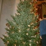 Krippenaufbau Mariahilf